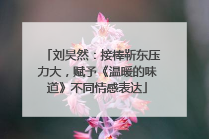 刘昊然：接棒靳东压力大，赋予《温暖的味道》不同情感表达