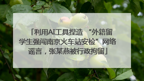 利用AI工具捏造 “外籍留学生强闯南京火车站安检”网络谣言，张某燕被行政拘留