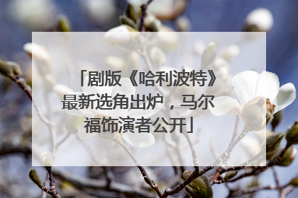 剧版《哈利波特》最新选角出炉，马尔福饰演者公开