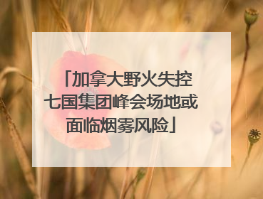 加拿大野火失控 七国集团峰会场地或面临烟雾风险
