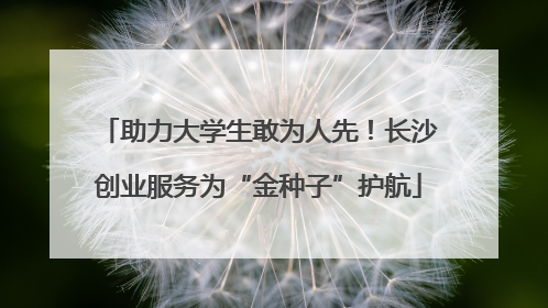 助力大学生敢为人先！长沙创业服务为“金种子”护航