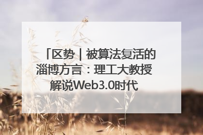 区势｜被算法复活的淄博方言：理工大教授解说Web3.0时代声音传播密码