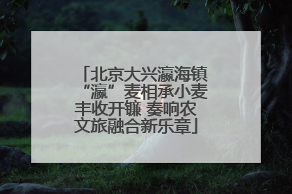 北京大兴瀛海镇“瀛”麦相承小麦丰收开镰 奏响农文旅融合新乐章