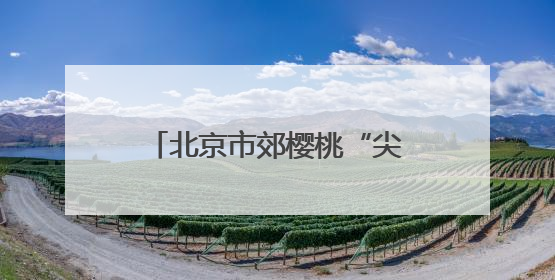 北京市郊樱桃“尖货”登录“北苑路88号”农产品市集