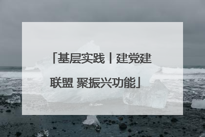 基层实践丨建党建联盟 聚振兴功能