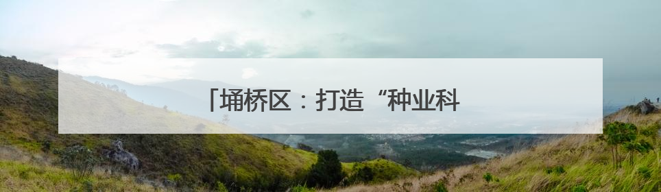 埇桥区：打造“种业科技谷” 助力强农兴种