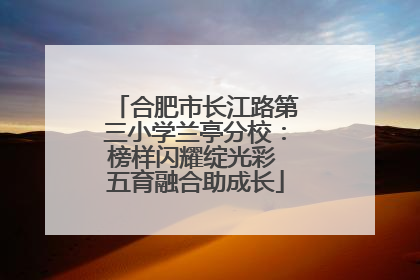合肥市长江路第三小学兰亭分校：榜样闪耀绽光彩 五育融合助成长