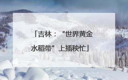 吉林：“世界黄金水稻带”上插秧忙