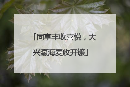 同享丰收喜悦，大兴瀛海麦收开镰