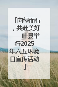 向绿而行，共赴美好——叶县举行2025年六五环境日宣传活动