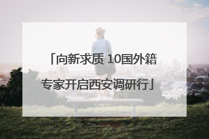 向新求质 10国外籍专家开启西安调研行