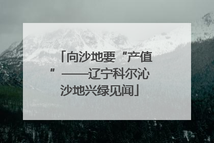 向沙地要“产值”——辽宁科尔沁沙地兴绿见闻
