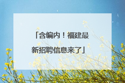 含编内！福建最新招聘信息来了