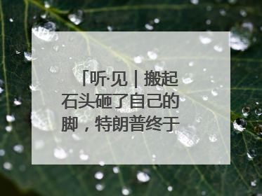 听·见｜搬起石头砸了自己的脚，特朗普终于“慌”了！