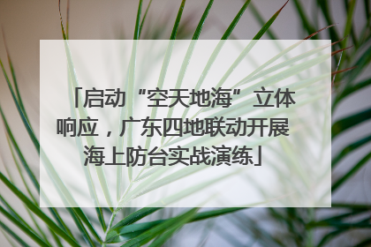 启动“空天地海”立体响应，广东四地联动开展海上防台实战演练