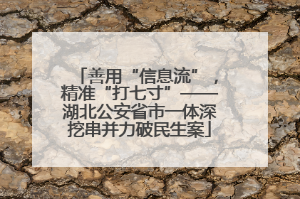 善用“信息流”，精准“打七寸”——湖北公安省市一体深挖串并力破民生案