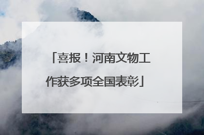 喜报！河南文物工作获多项全国表彰