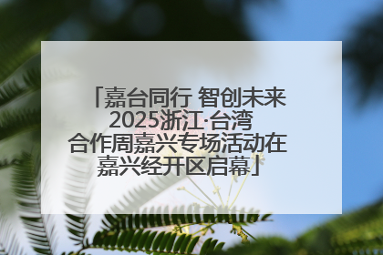 嘉台同行 智创未来 2025浙江·台湾合作周嘉兴专场活动在嘉兴经开区启幕