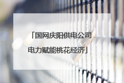 国网庆阳供电公司电力赋能桃花经济