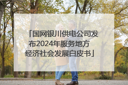 国网银川供电公司发布2024年服务地方经济社会发展白皮书