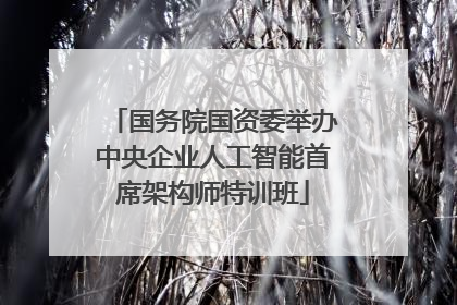 国务院国资委举办中央企业人工智能首席架构师特训班