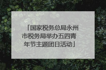 国家税务总局永州市税务局举办五四青年节主题团日活动