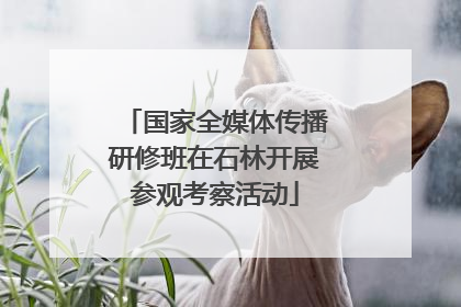 国家全媒体传播研修班在石林开展参观考察活动