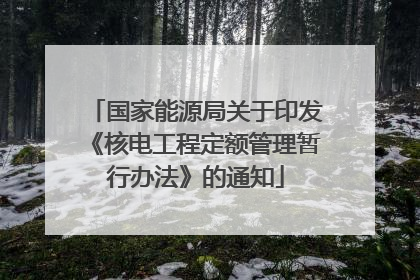 国家能源局关于印发《核电工程定额管理暂行办法》的通知