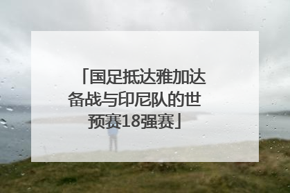 国足抵达雅加达备战与印尼队的世预赛18强赛