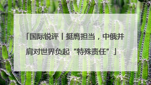 国际锐评丨挺膺担当，中俄并肩对世界负起“特殊责任”