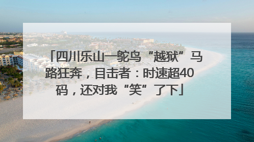 四川乐山一鸵鸟“越狱”马路狂奔，目击者：时速超40码，还对我“笑”了下