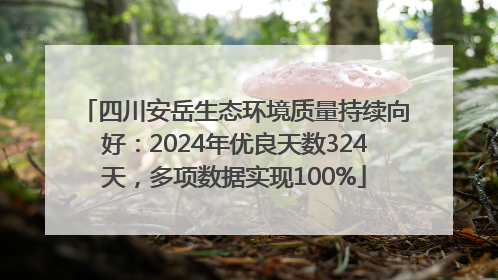 四川安岳生态环境质量持续向好：2024年优良天数324天，多项数据实现100%