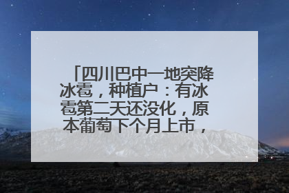四川巴中一地突降冰雹，种植户：有冰雹第二天还没化，原本葡萄下个月上市，现在全被打落