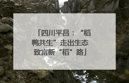 四川平昌：“稻鸭共生”走出生态致富新“稻”路