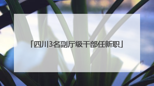 四川3名副厅级干部任新职