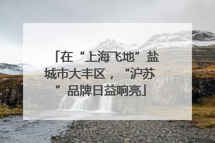 在“上海飞地”盐城市大丰区，“沪苏”品牌日益响亮