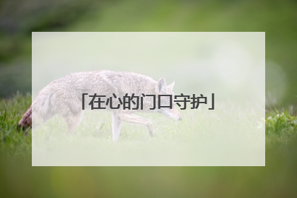 在心的门口守护