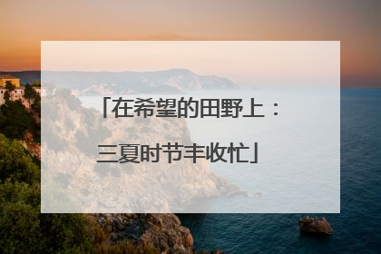 在希望的田野上：三夏时节丰收忙