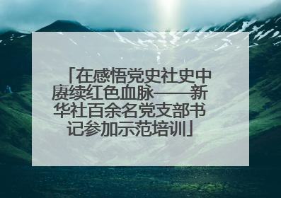 在感悟党史社史中赓续红色血脉——新华社百余名党支部书记参加示范培训