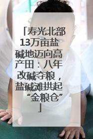 寿光北部13万亩盐碱地迈向高产田：八年改碱夺粮，盐碱滩拱起“金粮仓”