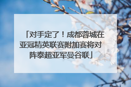 对手定了！成都蓉城在亚冠精英联赛附加赛将对阵泰超亚军曼谷联