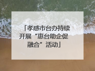 孝感市台办持续开展“惠台助企促融合”活动