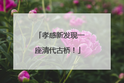 孝感新发现一座清代古桥！
