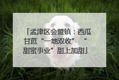 孟津区会盟镇：西瓜甘蔗“一地双收” “甜蜜事业”甜上加甜