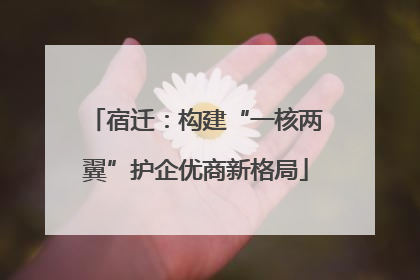 宿迁：构建“一核两翼”护企优商新格局