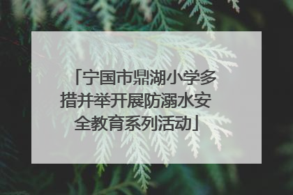 宁国市鼎湖小学多措并举开展防溺水安全教育系列活动