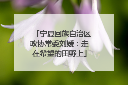 宁夏回族自治区政协常委刘媛：走在希望的田野上