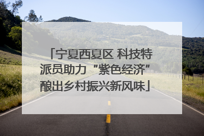 宁夏西夏区 科技特派员助力“紫色经济”酿出乡村振兴新风味