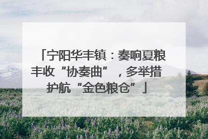 宁阳华丰镇：奏响夏粮丰收“协奏曲”，多举措护航“金色粮仓”