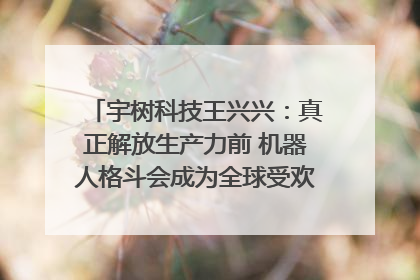 宇树科技王兴兴：真正解放生产力前 机器人格斗会成为全球受欢迎的赛事｜科技观察